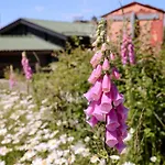 Harztraeume Panorama Lodge, Im Harz, Mit Schwimmbad Und Sauna Braunlage