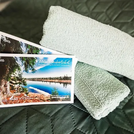 Harztraeume Panorama Lodge, Im Harz, Mit Schwimmbad Und Sauna شقة برونلاغ