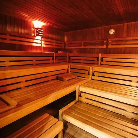 Neu Superior 525, Im Oberharz, Mit Schwimmbad Und Sauna * Braunlage