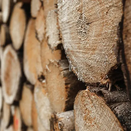 Harztraeume Panorama Lodge, Im Harz, Mit Schwimmbad Und Sauna