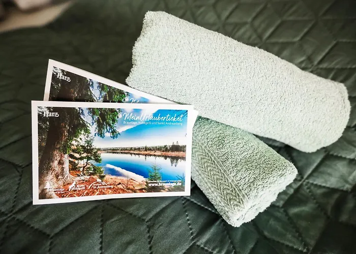 Harztraeume Panorama Lodge, Im Harz, Mit Schwimmbad Und Sauna Apartman Braunlage